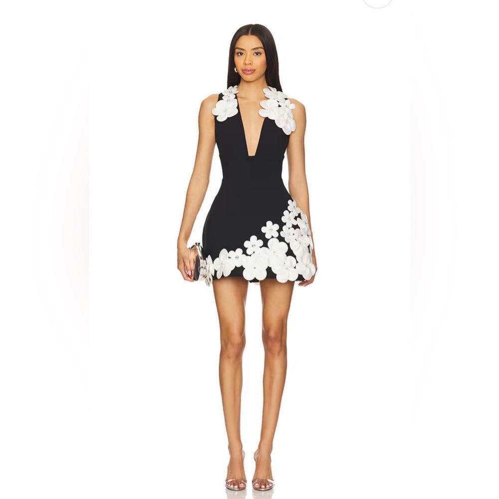 NWOT BRONX AND BANCO Estelle Black and White Mini Dress - Picture 3 of 16